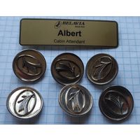 Бейдж и пуговицы бортпроводника Белавиа