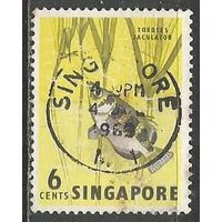 Сингапур. Рыбы. Бризгун полосатый. 1962г. Mi#57.