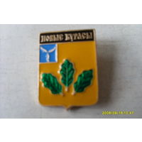 ЗНАЧОК  ГЕРБ  " НОВЫЕ  БУРАСЫ " САРАТОВСКАЯ  ОБЛАСТЬ  РОССИЯ