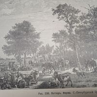 Поттеръ. Ферма.          Гравюра энциклопедическая 19век. 28х21cм. РАСПРОДАЖА КОЛЛЕКЦИИ.