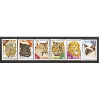 ФФ1 Куба 1977 Семейство кошачьих
