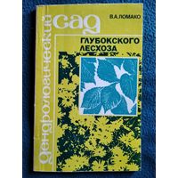 В.А. Ломако. Дендрологический сад глубокского лесхоза