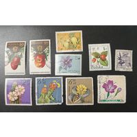 РАСПРОДАЖА КОЛЛЕКЦИИ. Польша. марки "флора, цветы"