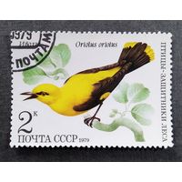 Марка СССР 1979 год Птицы