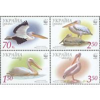 Украина 2007. WWF пеликаны 4марки квартблок (454)