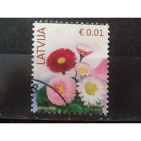 Латвия, 2014. Маргаритки