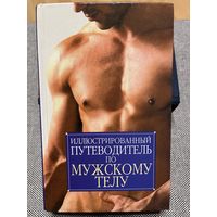 Иллюстрированный путеводитель по мужскому телу