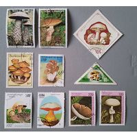 Грибы. Сборка.