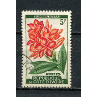 Кот-д 'Ивуар - 1961 - Цветы 5Fr - [Mi.223] - 1 марка. Гашеная.  (Лот 34HS)-TG3P11