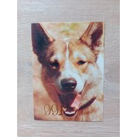 Календарик 1991