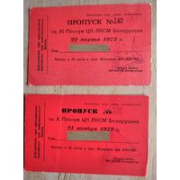 Пропуск на Пленум ЦК ЛКСМ Белоруссии. 2 шт. 1972, 1973 г. Цена за 1.