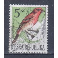 [861] Чехия 1994. Фауна.Птицы.Чечевица. Гашеная марка.