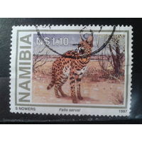 Намибия, 1997. Сервал