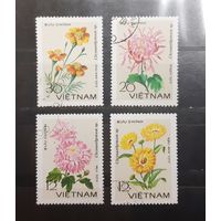 Вьетнам. Флора. Цветы (269)