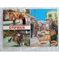 Этнография. Кипр