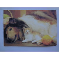 Календарик 1996 г. Собака и котенок.