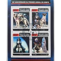 Того 2017. 60 летие полёта Лайки на орбиту Земли