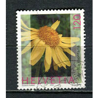 Швейцария - 2003/2005 - Флора. Арника 120С - [Mi.1823C] - 1 марка. Гашеная.  (Лот 34JA)-TG3P52