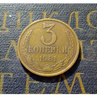 3 копейки 1981 СССР #18