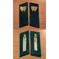 Петлицы лесника СССР