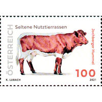 Редкие породы домашнего скота Австрия 2021 год серия из 1 марки