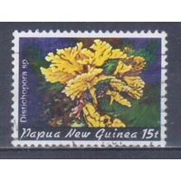 [154] Папуа Новая Гвинея 1982. Морская фауна.Кораллы и другие.15т. Гашеная марка.