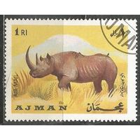 Аджман. Авиа. Носорог. 1969г. St#553,