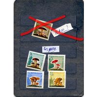 СССР, 1964,  СБОРНЫЙ ЛОТ ГРИБЫ,  5м  по 60 коп шт  чистая