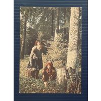 СССР 1954 ДМПК фото Ананьина. Сбор грибов. Чистая.