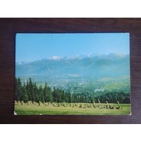 Закопане. Татры.