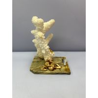 Белый натуральный коралл Acropora на подставке из мрамора или оникса