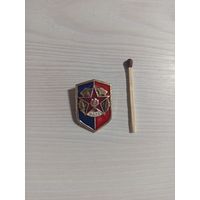 Значок ВДПО