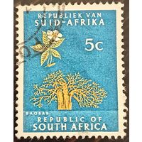 Южная Африка 1961. Дерево Баобаб