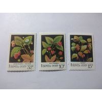 СССР 1982 ЯГОДЫ