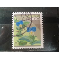 Япония, 1996. Стандарт. Лилейник. Mi-0.9 евро гаш.