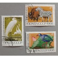 Фауна. СССР, 1968