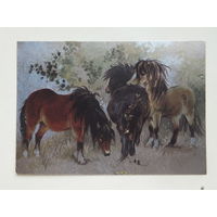 Англия стерео открытка 1990-е  10х15  см