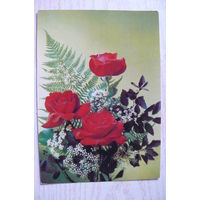 Дергилев И., Розы; 1990, 1991, чистая.