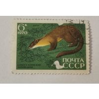 Марка из серии " 35-летие Сихотэ-Алинского государственного заповедника СССР" - Куница кирза