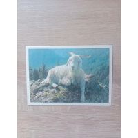 Календарик 1990