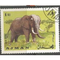 Аджман. Авиа. Слон. 1969г. St#556,
