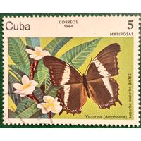 Куба 1984. Фауна. Бабочки. Victorina. Марка из серии