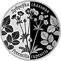 Торги. Дуброўка скальная . Лапчатка скальная . медно-никель , 1 рубль , 2017 год . Тираж 2000 штук . Редкость .