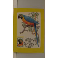 Карманный календарик. Ара. 120 лет московскому зоопарку. 1985 год