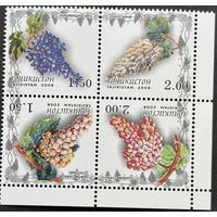 Таджикистан 2008. Виноград. Квартблок