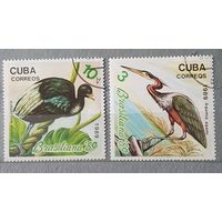 Куба птицы 2шт