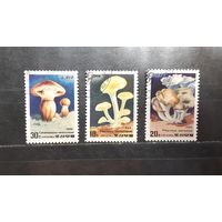 Корея. 1985 год. Флора. Грибы (983)