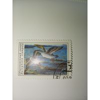 СССР 1990. Утки "Обыкновенный гоголь"