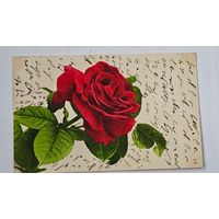 1908 год Открытка