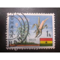 Гана, 1967. Стандарт. Кукуруза, флаг